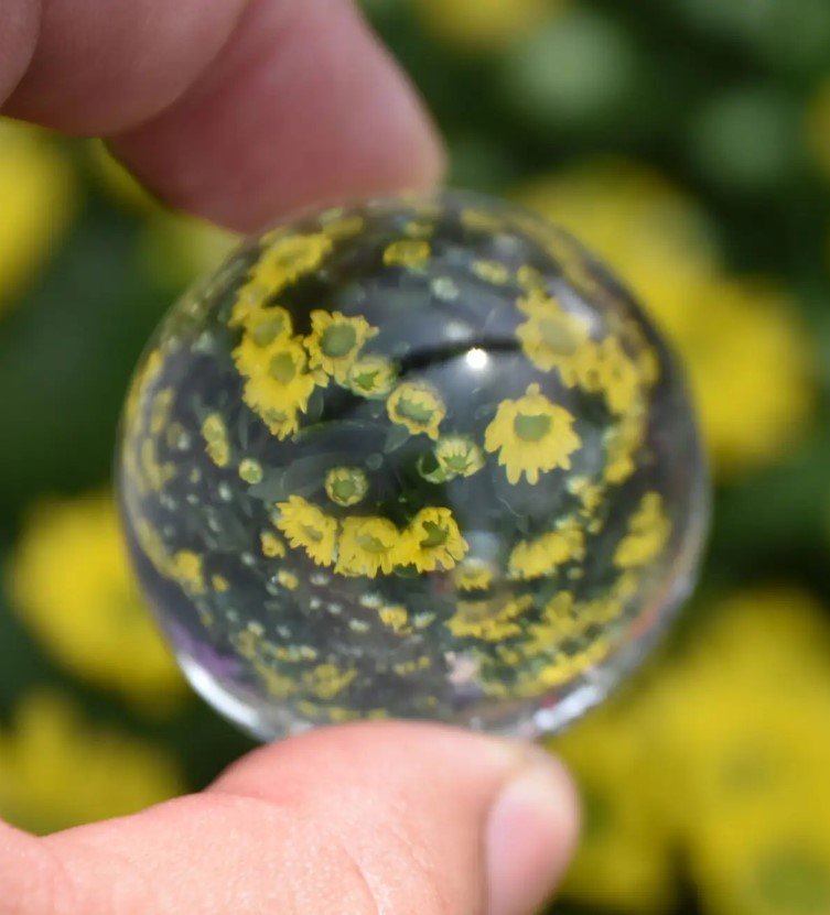 About Kanexi Digital